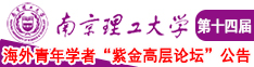 嗯，啊，摁用力啊视频南京理工大学第十四届海外青年学者紫金论坛诚邀海内外英才！